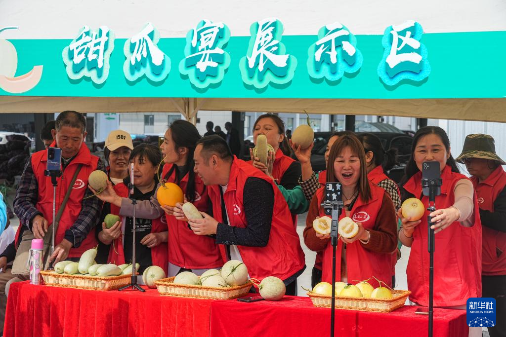 山東東平：甜瓜飄香助增收_fororder_22222