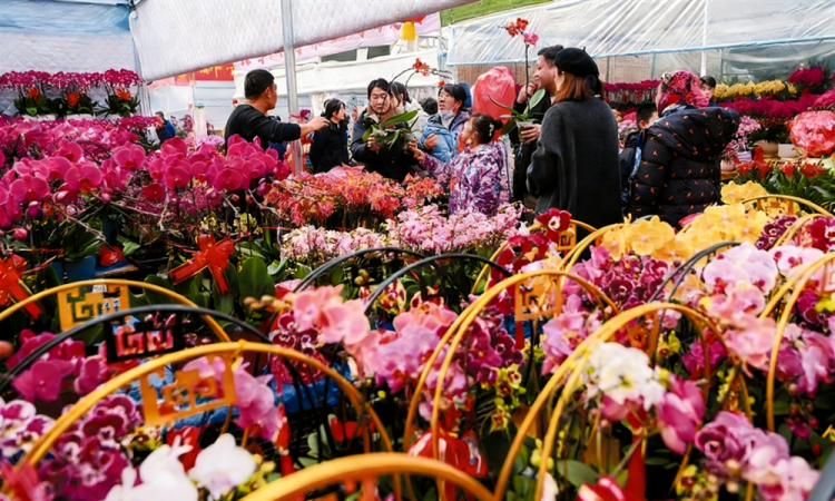 山東青州:“花樣經濟”激活春節消費新活力