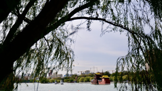 寒潮難擋遊興 大明湖初冬別具風情