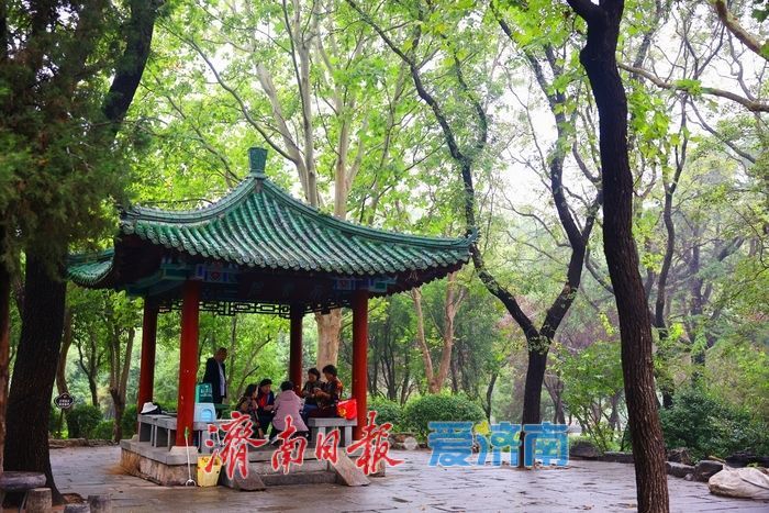 細雨如絲,濟南百花公園秋意朦朧