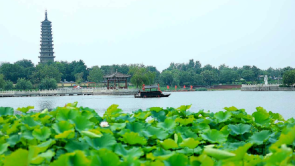 無棣古城荷花灣：乘舟碧波上 遊客畫中游