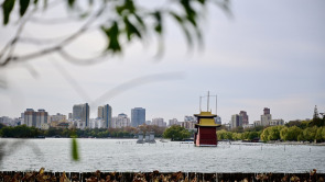 寒潮難擋遊興 大明湖初冬別具風情