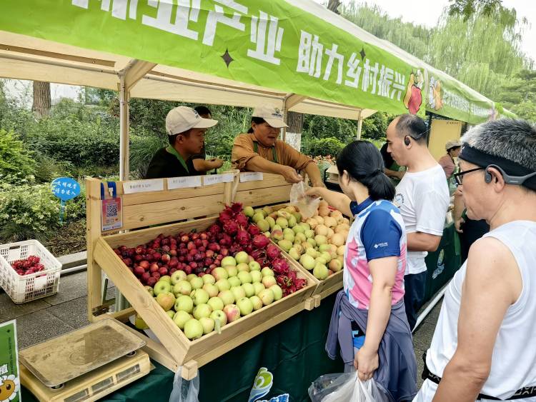 濟南“泉果飄香” 打造農文旅融合新引擎