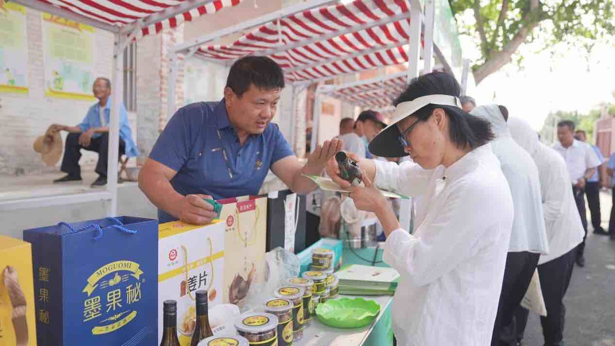 濟南萊蕪：深耕“一株桑” 繪就鄉村振興圖