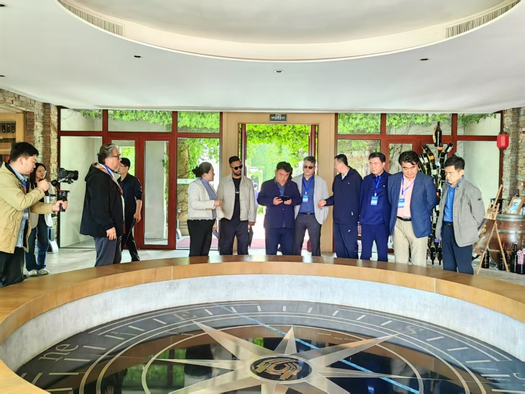 【Hi,Shandong】“Hi,Shandong—機遇中國 青島優品”海外媒體青島行活動走進九頂莊園，品味葡萄美酒_fororder_c05f3f61aea56ba1789667d3bb4e2c8