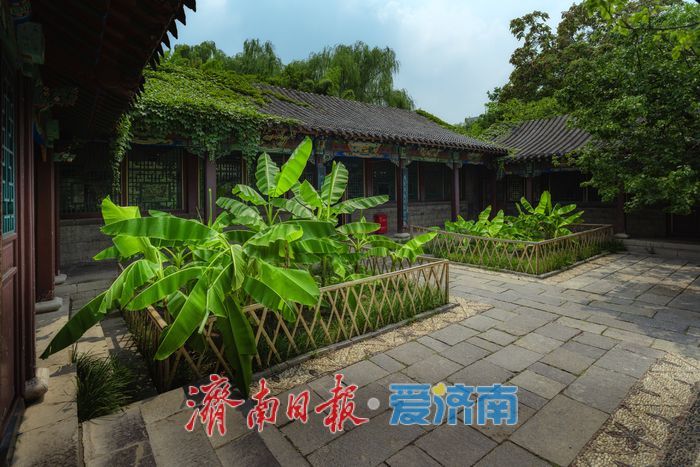 酷暑時節，來濟南萬竹園解鎖夏日清涼