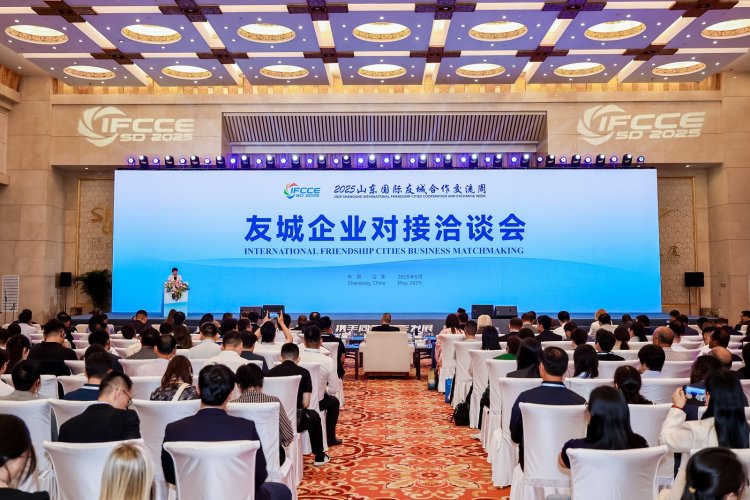 “2025山東國際友城合作交流周”友城企業對接洽談會舉辦_fororder_洽談會