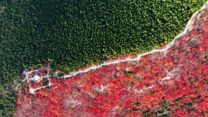 山東濟南：“平分秋色”蝎子山