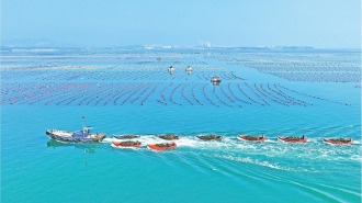 海上“春耕圖”