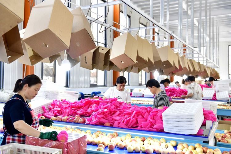 山東惠民：發展特色産業 賦能鄉村振興_fororder_03