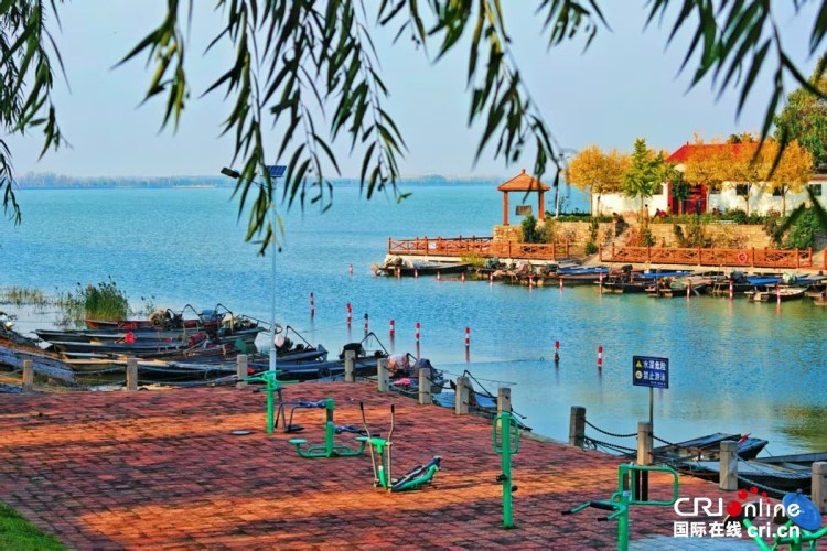 沿著黃河遇見海,感受“幸福河”的魅力與新生