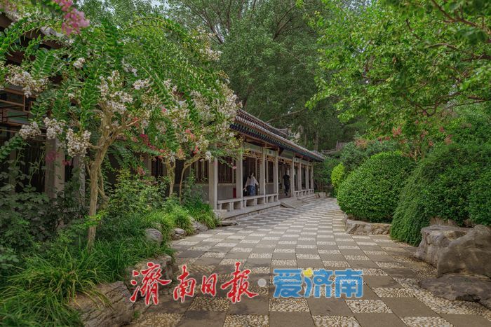 酷暑時節，來濟南萬竹園解鎖夏日清涼