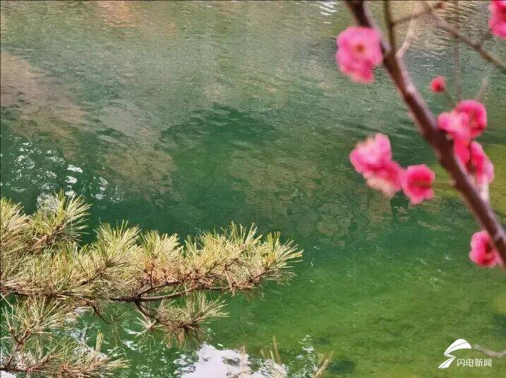 山東泰安：春到彩石溪 花開醉春風