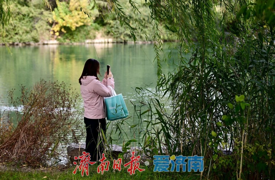 寒潮難擋遊興 大明湖初冬別具風情