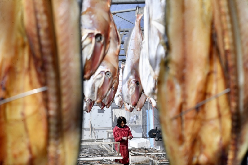 山東青島:金風送爽晾曬忙