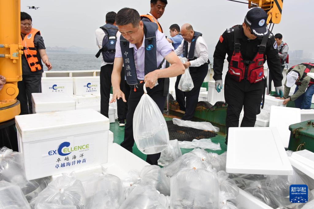 山東青島：增殖放流 修復生態