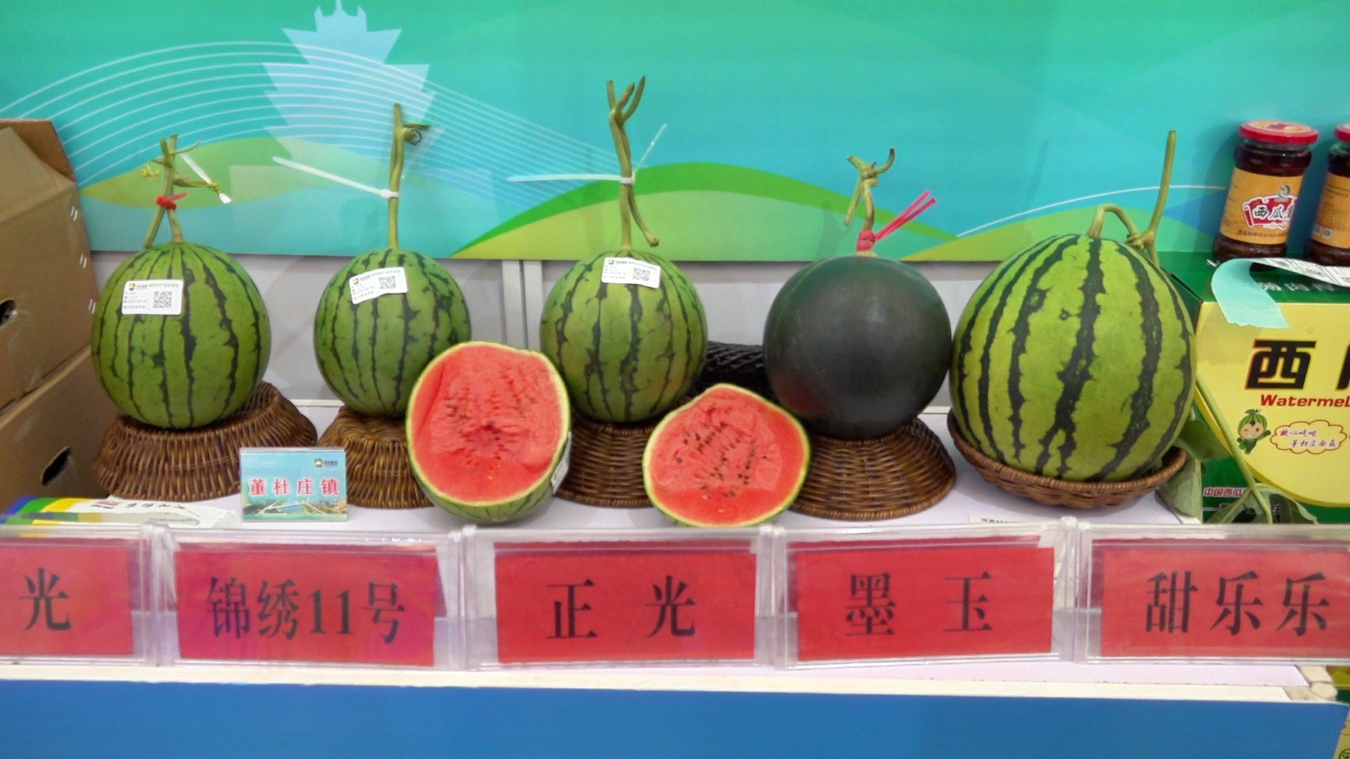 以菜興業，共譜鄉村振興新篇章——第十三屆綠色瓜菜菌博覽會（莘縣）開幕_fororder_微信圖片_20250415135022
