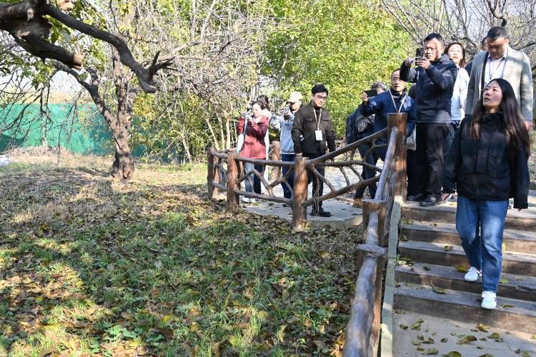 夏津：農旅融合多元業態讓古老黃河故道煥發新生_fororder_2