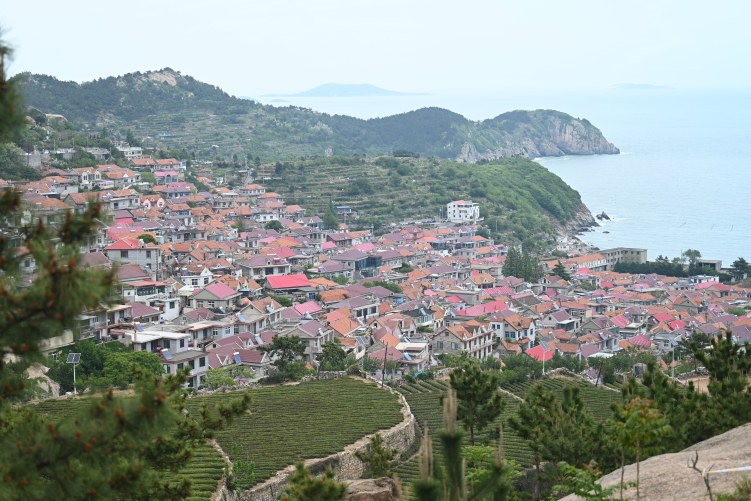 【Hi,Shandong】“Hi,Shandong—機遇中國 青島優品”海外媒體青島行活動走進青山漁村，邂逅山海田園詩意_fororder_DSC_1771.JPG