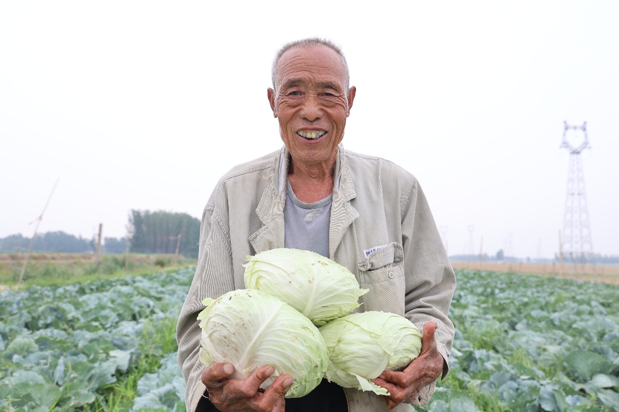 山東鄒平：從“白花花”到“綠油油” 鹽鹼荒灘變良田_fororder_DDD