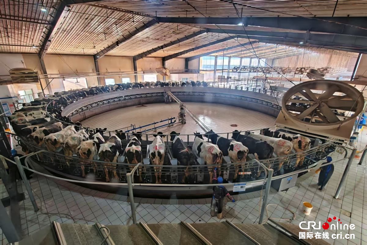 沿著黃河遇見海，感受“幸福河”的魅力與新生