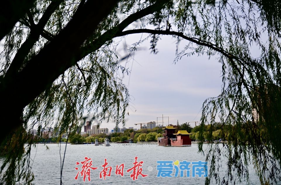 寒潮難擋遊興 大明湖初冬別具風情