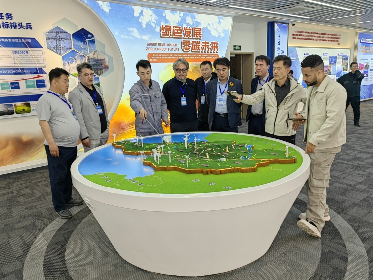 【Hi,Shandong】外媒記者走進東營，探訪全球最大開放式海上光伏項目_fororder_國家能源2 (2)