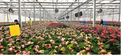 機遇中國,魅力濟南:外媒體驗泉城科創動力與人文溫度