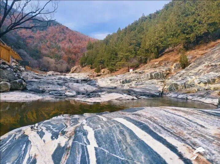 山東泰安：春到彩石溪 花開醉春風