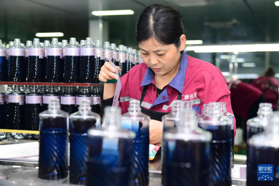 山東鄆城:以産業興旺助推鄉村振興