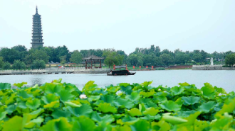 無棣古城荷花灣：乘舟碧波上 遊客畫中游