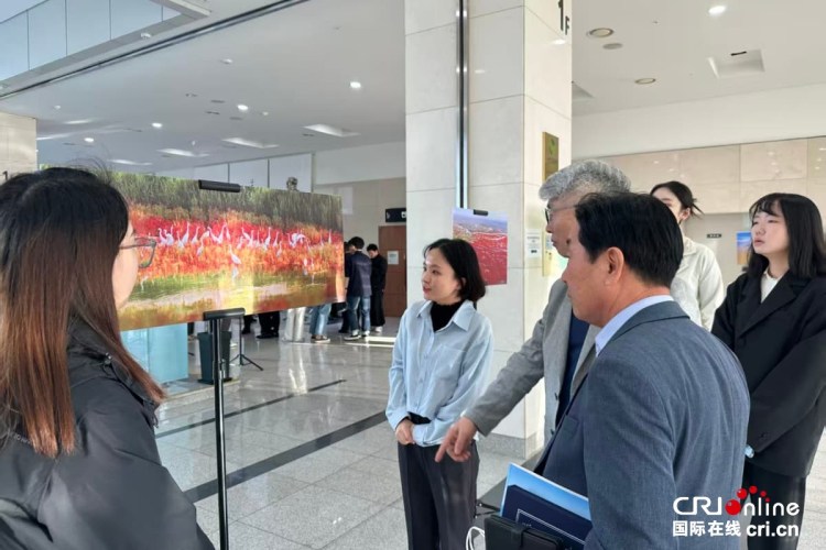 東營黃河三角洲生態攝影展驚艷亮相韓國楊州_fororder_微信圖片_20251020175710_232_212 (1)