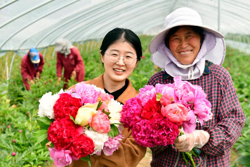 山東：百花競放催生“花樣經濟”