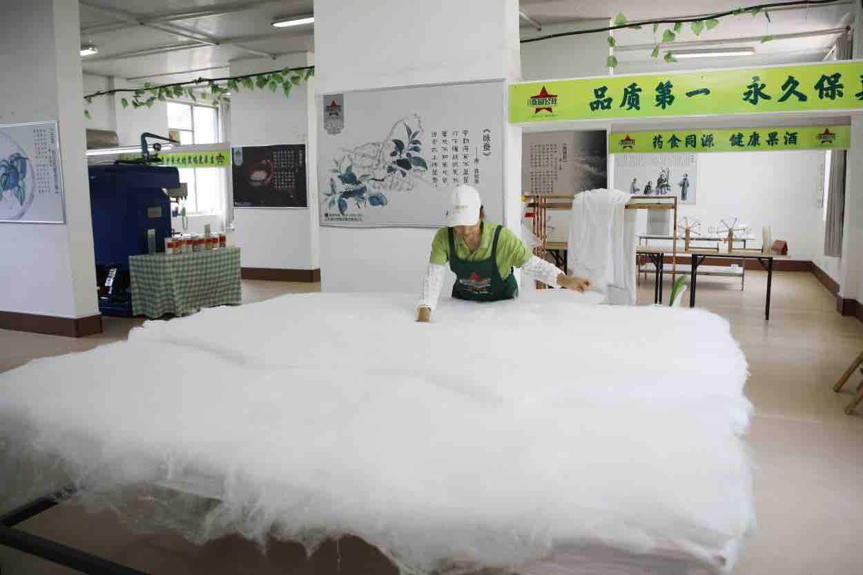 濟南萊蕪：深耕“一株桑” 繪就鄉村振興圖