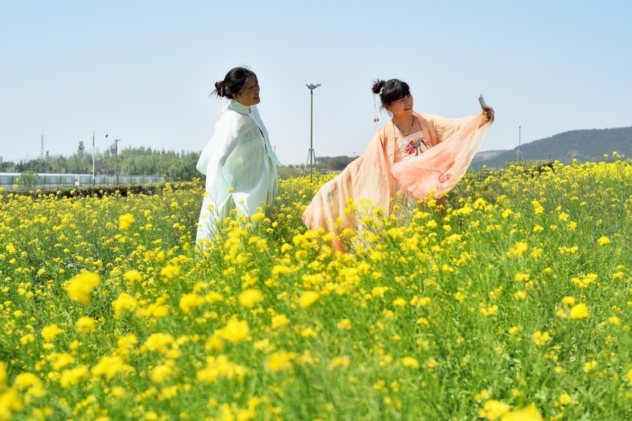 産業文旅兩融合，山東“綠葉子”變身“金鏈子”_fororder_333