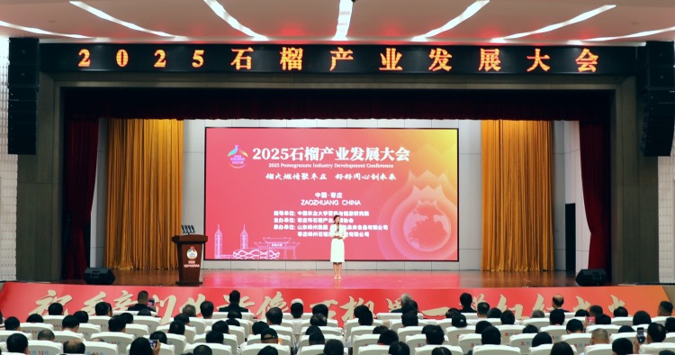 2025石榴産業發展大會在棗莊舉行_fororder_9514cd8472d3d21752220cca23770ccc