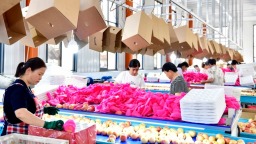 山東惠民：發展特色産業 賦能鄉村振興