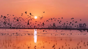 初冬威海南海新區生態如畫