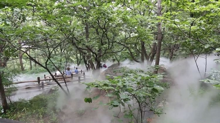 山東淄博：激活林業資源 賦能鄉村振興