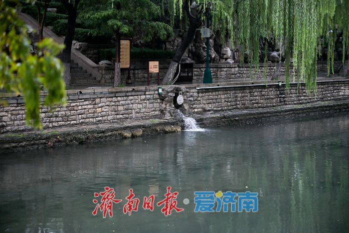 濟南護城河迎豐水期 泉水奔流潤古城