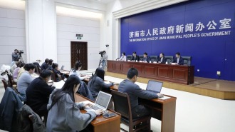 “十四五”期間濟南持續擴大高水準對外開放 進出口規模連跨三個臺階