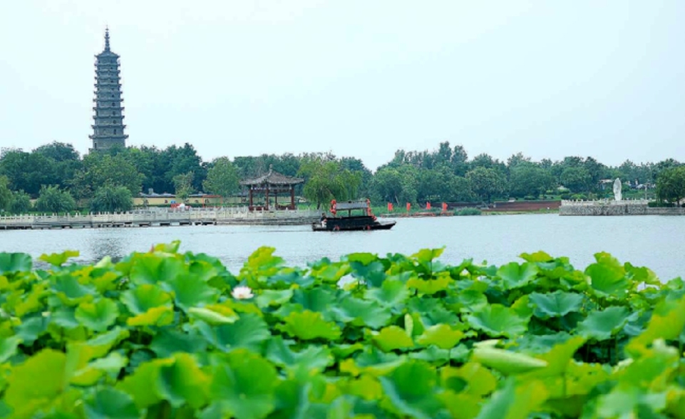 無棣古城荷花灣：乘舟碧波上 遊客畫中游_fororder_微信截圖_20250715093829