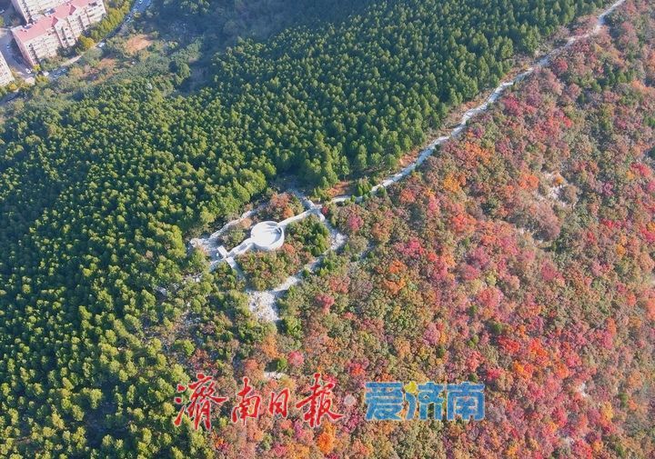 漸入佳境，濟南版“鴛鴦火鍋”將迎來紅葉最美時節