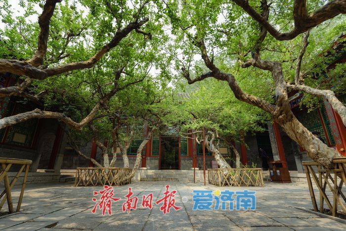 酷暑時節，來濟南萬竹園解鎖夏日清涼