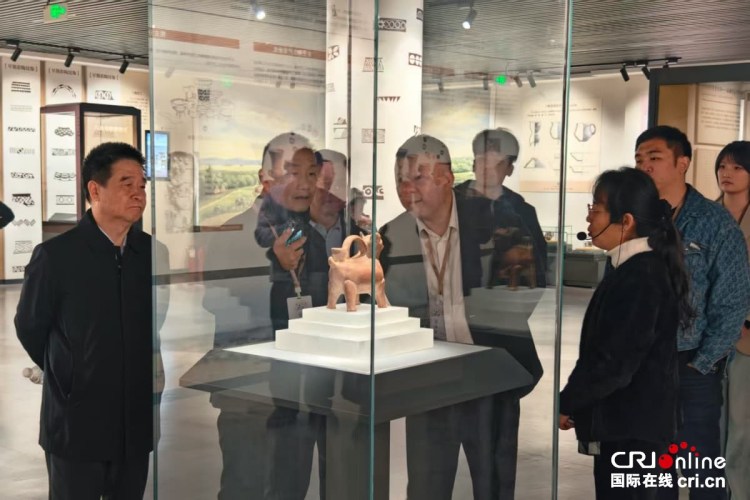 沿著黃河遇見海,感受“幸福河”的魅力與新生