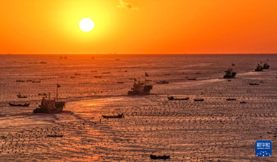 四中全會精神在基層｜山東：耕海牧漁充盈“藍色糧倉”