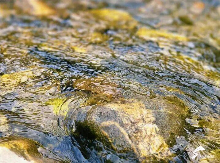 山東泰安：春到彩石溪 花開醉春風