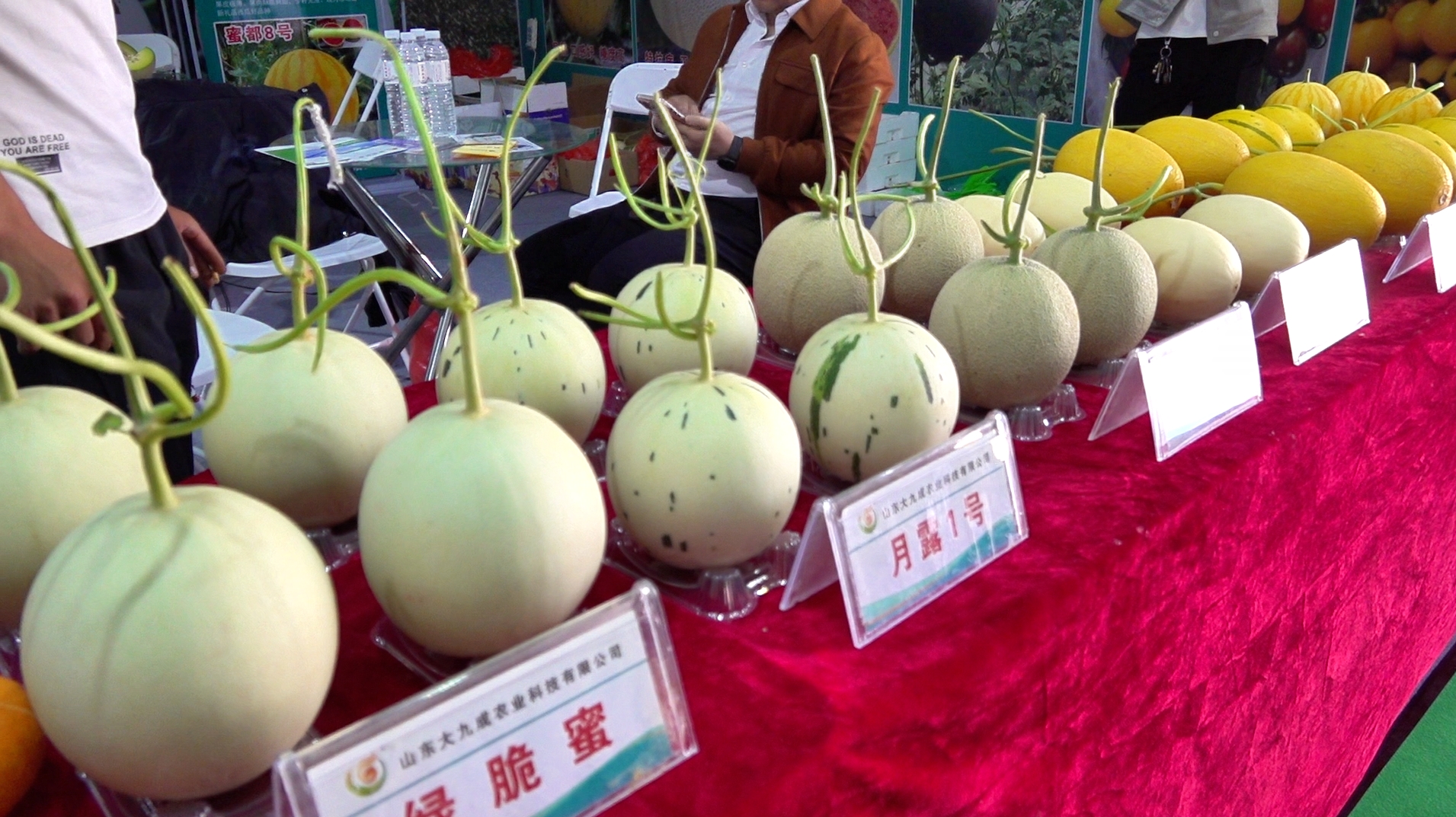 以菜興業，共譜鄉村振興新篇章——第十三屆綠色瓜菜菌博覽會（莘縣）開幕_fororder_微信圖片_20250415135022(1)
