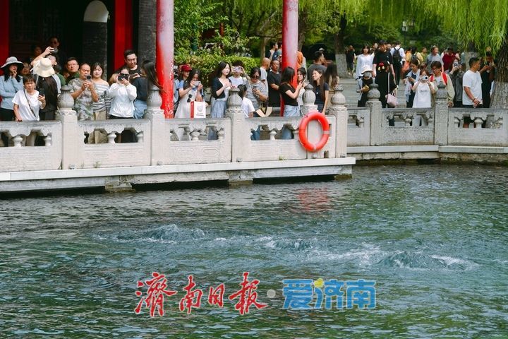 水涌若輪，趵突泉實現連續噴涌22週年成定局