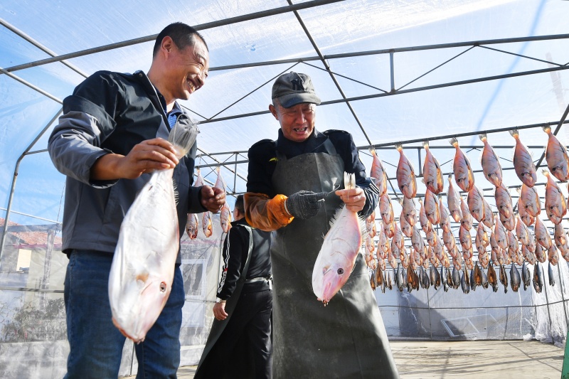 山東青島:金風送爽晾曬忙